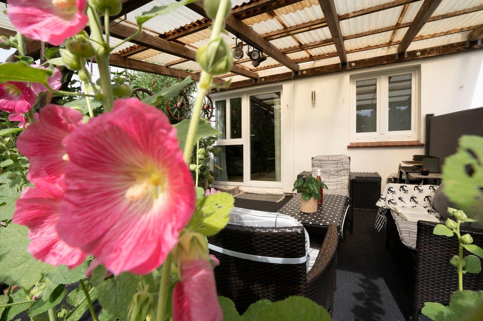 Апартаменты Haus Waldfrieden Ferienhaeuschen Waldfrieden Хаффкруг Экстерьер фото